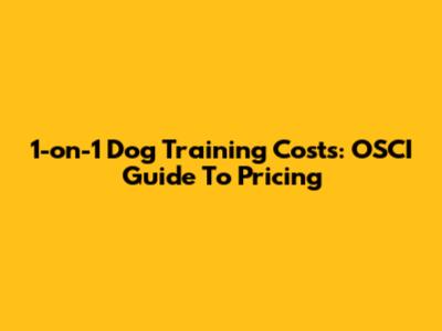 1-on-1 Dog Training Costs: OSCI Guide To Pricing