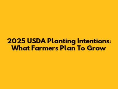 2025 USDA Planting Intentions: What Farmers Plan To Grow