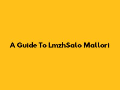 A Guide To LmzhSalo Mallori