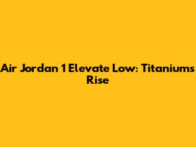 Air Jordan 1 Elevate Low: Titanium's Rise