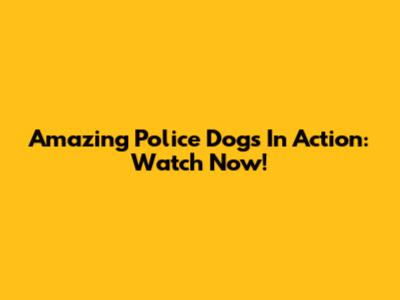 Amazing Police Dogs In Action: Watch Now!