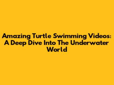 Amazing Turtle Swimming Videos: A Deep Dive Into The Underwater World