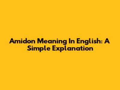 Amidon Meaning In English: A Simple Explanation