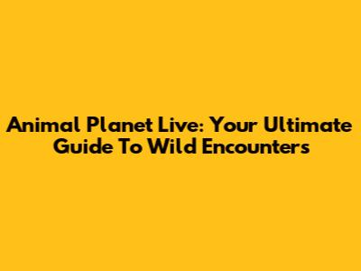 Animal Planet Live: Your Ultimate Guide To Wild Encounters