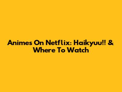 Anime's On Netflix: Haikyuu!! & Where To Watch
