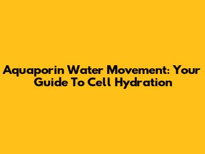 Aquaporin Water Movement: Your Guide To Cell Hydration