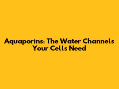 Aquaporins: The Water Channels Your Cells Need