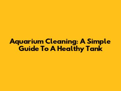 Aquarium Cleaning: A Simple Guide To A Healthy Tank