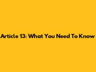 Article 13: What You Need To Know