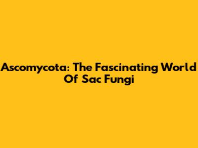 Ascomycota: The Fascinating World Of Sac Fungi