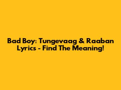 Bad Boy: Tungevaag & Raaban Lyrics - Find The Meaning!