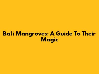 Bali Mangroves: A Guide To Their Magic