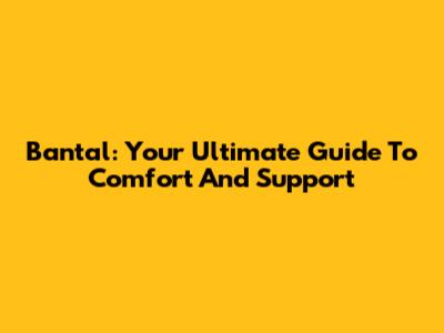 Bantal: Your Ultimate Guide To Comfort And Support