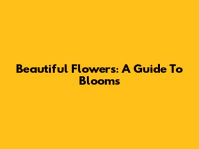 Beautiful Flowers: A Guide To Blooms