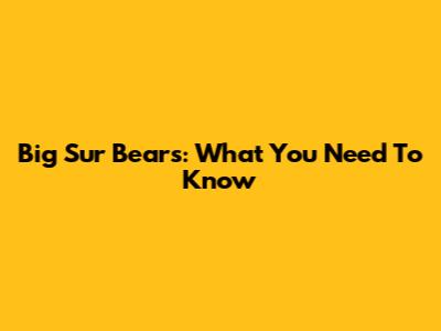 Big Sur Bears: What You Need To Know