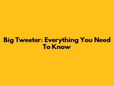 Big Tweeter: Everything You Need To Know