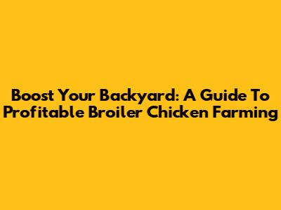Boost Your Backyard: A Guide To Profitable Broiler Chicken Farming