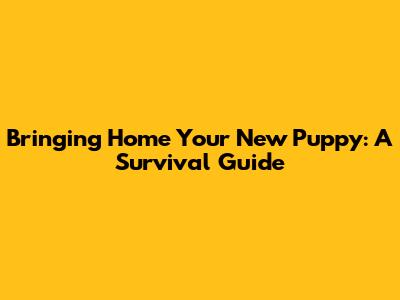 Bringing Home Your New Puppy: A Survival Guide