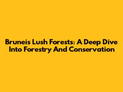 Brunei's Lush Forests: A Deep Dive Into Forestry And Conservation