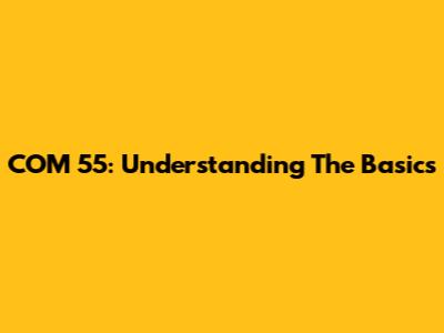 COM 55: Understanding The Basics