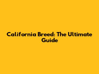 California Breed: The Ultimate Guide