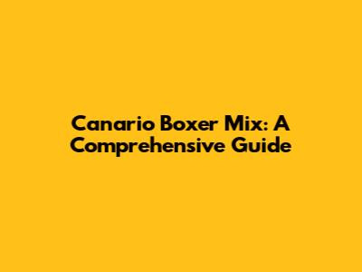 Canario Boxer Mix: A Comprehensive Guide