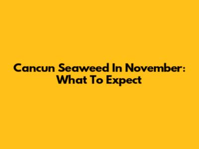 Cancun Seaweed In November: What To Expect