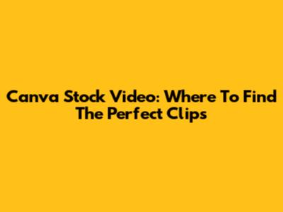 Canva Stock Video: Where To Find The Perfect Clips