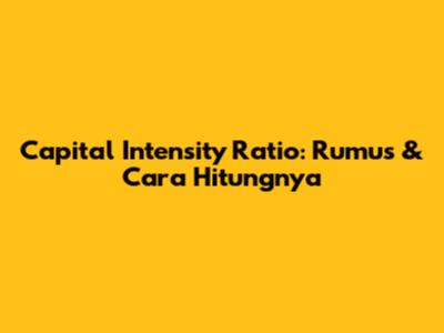 Capital Intensity Ratio: Rumus & Cara Hitungnya