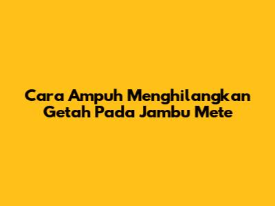 Cara Ampuh Menghilangkan Getah Pada Jambu Mete