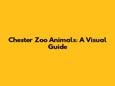 Chester Zoo Animals: A Visual Guide