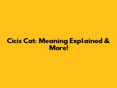 Cici's Cat: Meaning Explained & More!