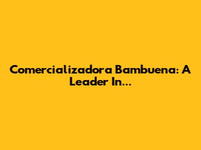 Comercializadora Bambuena: A Leader In...