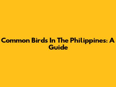 Common Birds In The Philippines: A Guide