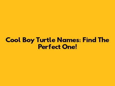 Cool Boy Turtle Names: Find The Perfect One!