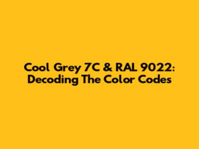 Cool Grey 7C & RAL 9022: Decoding The Color Codes