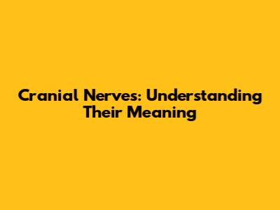 Cranial Nerves: Understanding Their Meaning