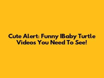 Cute Alert: Funny IBaby Turtle Videos You Need To See!