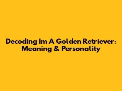 Decoding 'I'm A Golden Retriever': Meaning & Personality