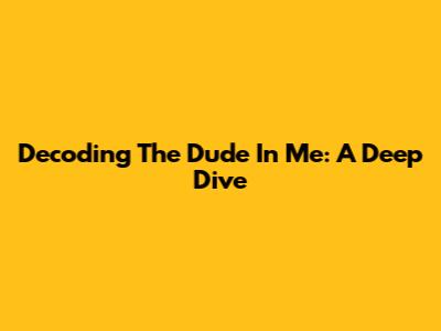 Decoding 'The Dude In Me': A Deep Dive