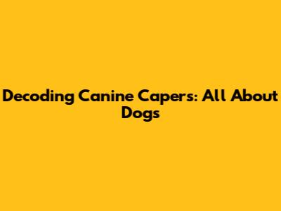 Decoding Canine Capers: All About Dogs