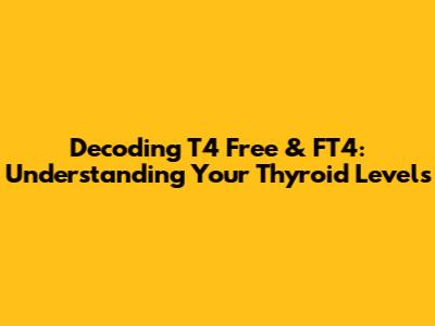 Decoding T4 Free & FT4: Understanding Your Thyroid Levels
