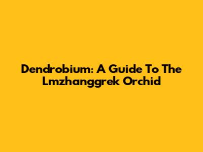Dendrobium: A Guide To The Lmzhanggrek Orchid