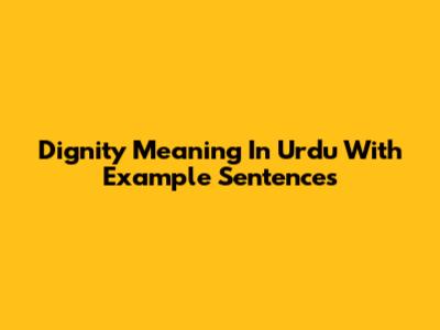 Dignity Meaning In Urdu With Example Sentences