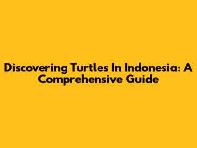 Discovering Turtles In Indonesia: A Comprehensive Guide