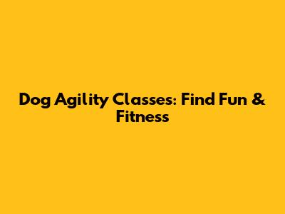 Dog Agility Classes: Find Fun & Fitness