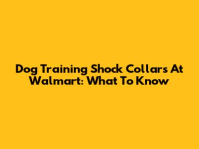 Dog Training Shock Collars At Walmart: What To Know