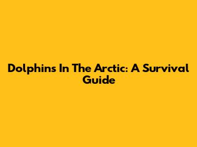 Dolphins In The Arctic: A Survival Guide