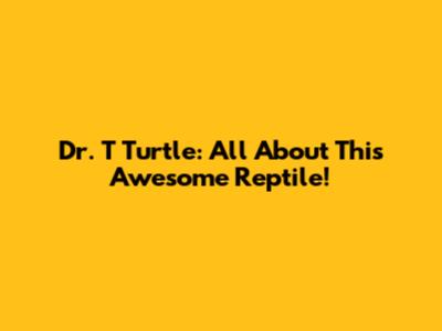 Dr. T Turtle: All About This Awesome Reptile!