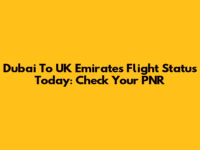 Dubai To UK Emirates Flight Status Today: Check Your PNR